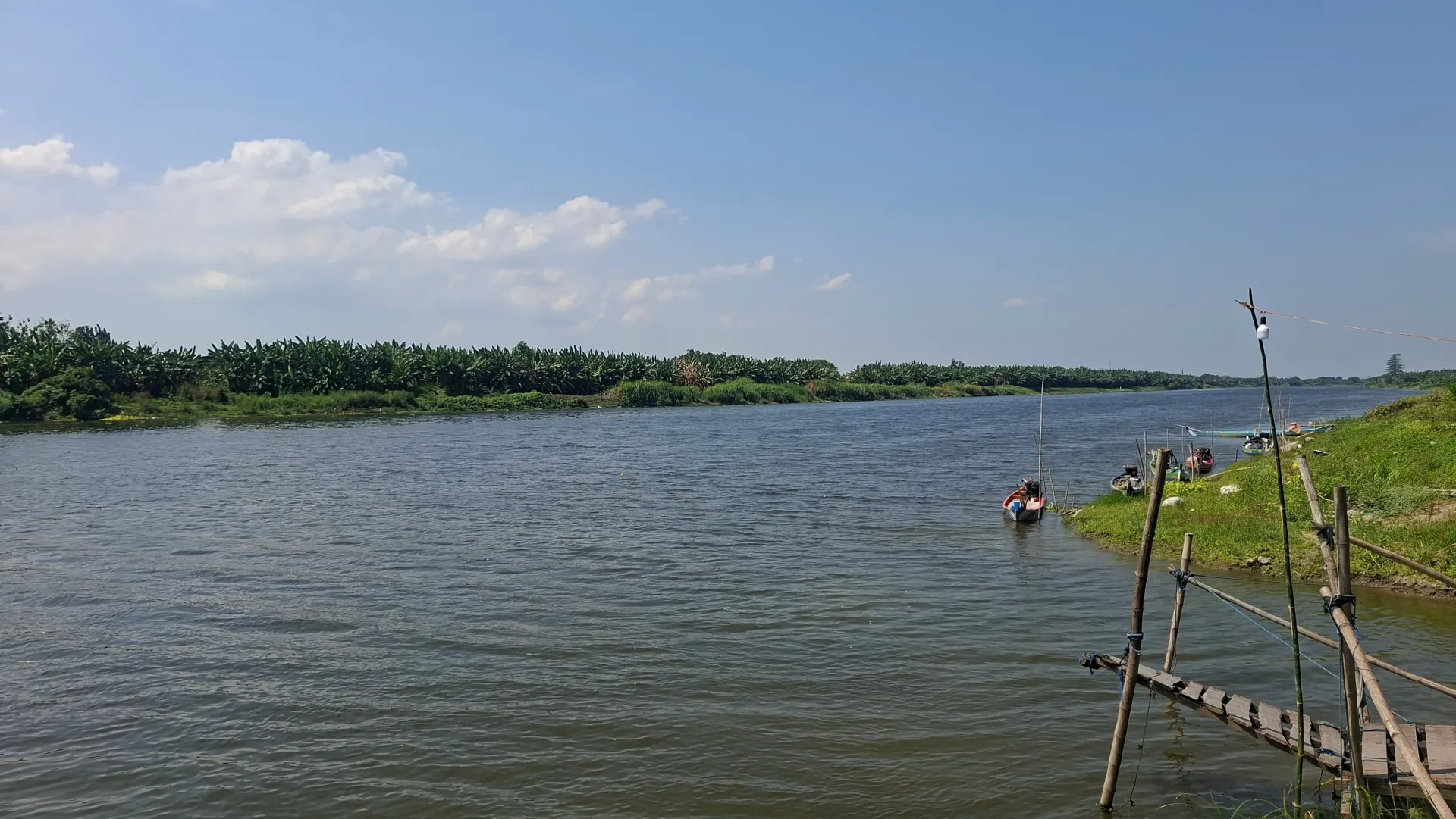 Hamparan Sawah & Alam Yang Asri